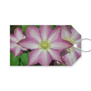 Trio of Clematis Pink and White Spring Vine Gift Tags