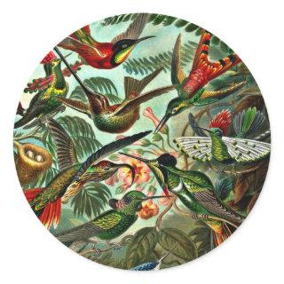 Trochilidae - Hummingbirds Classic Round Sticker