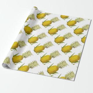 Tropical Accent Pineapple Vintage Illustration