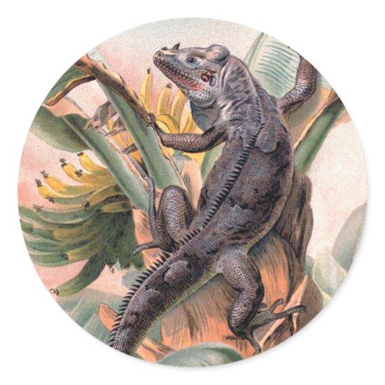 Tropical Black Iguana, Vintage Wild Reptile Animal Classic Round Sticker