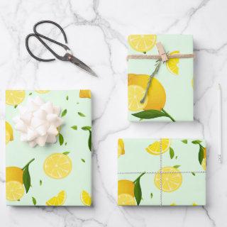 Tropical colorful Citrus SUMMER Orange lemon Slice  Sheets