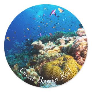 Tropical Fish on the Great Barrier Reef Classic Round Sticker