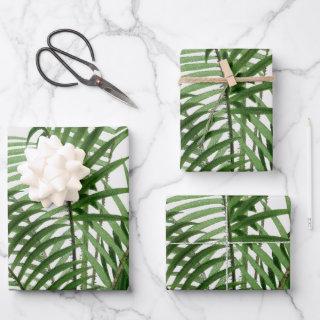 Tropical Greenery Watercolor Palm Tree Leaves   Sheets