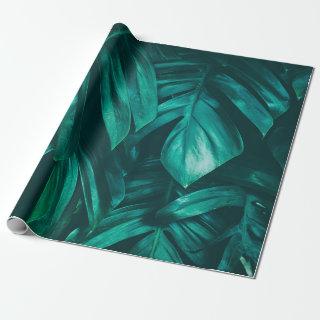 tropical jungle foliage,  dark green leaf nature b