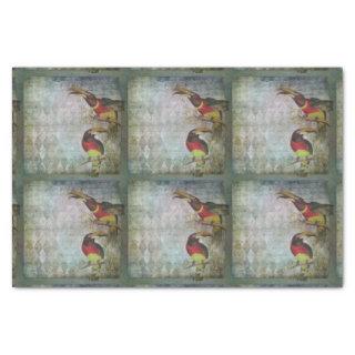 Tropical Toucan Tissue Paper