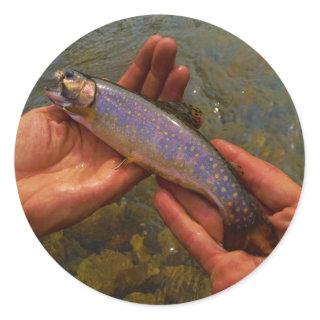 Trout in Hands Classic Round Sticker
