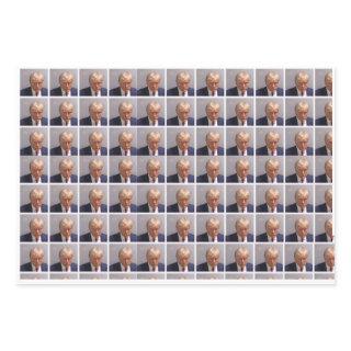 Trump Mug Shot  Flat Sheet Set of 3