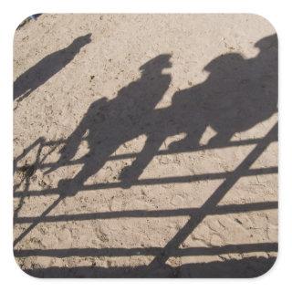 Tucson, Arizona: Shadows of Rodeo competitors Square Sticker