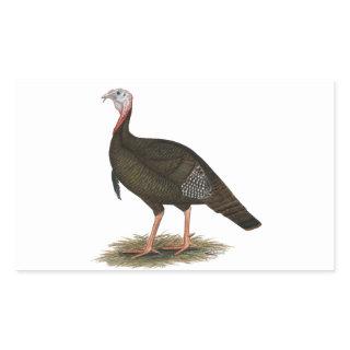 Turkey:  Eastern Wild Tom Rectangular Sticker