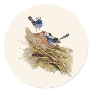 Turquoisine Superb Warbler,  Classic Round Sticker
