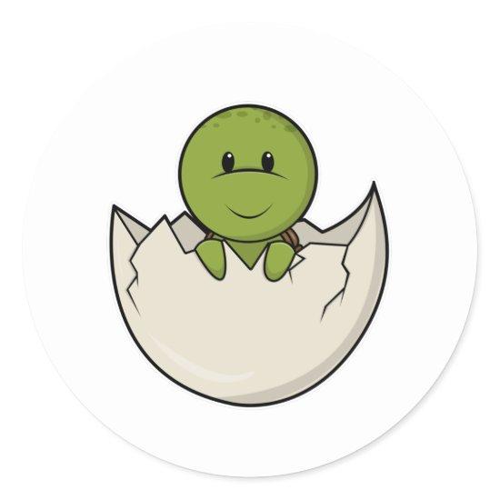 Turtle as Baby with Egg shell Classic Round Sticker