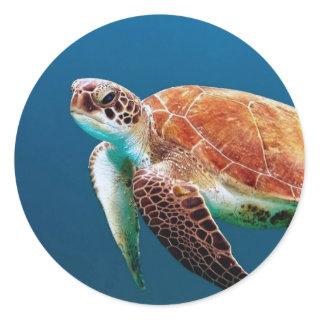 Turtle Blue Water Sea Photo Classic Round Sticker