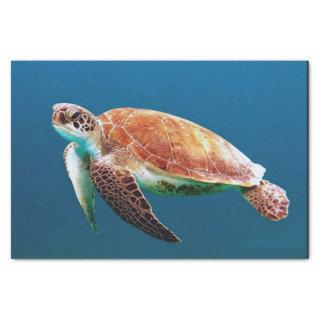 Turtle Blue Water Sea Photo Tissue Paper