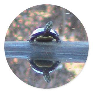 Turtle Reflections Sticker