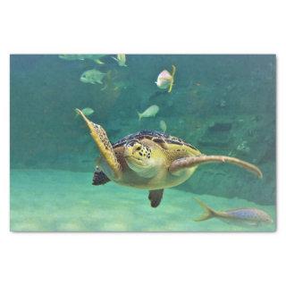 Turtle Sea Water Fish Photo Tissue Paper