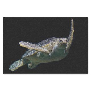 Turtle Swimming Sea Photo Tissue Paper