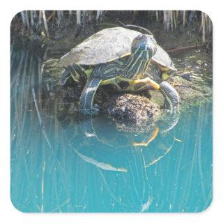 Turtle with Water Reflection Photo Lake Animal Square Sticker