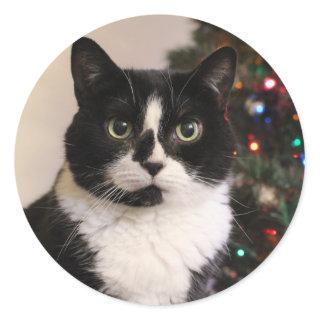 Tuxedo Cat Christmas stickers