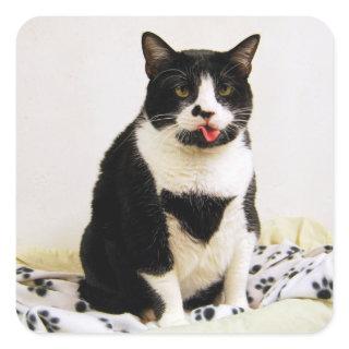 Tuxedo Cat Sticking Out Her tongue Square Sticker