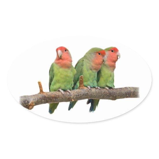 Tweet Trio Sticker