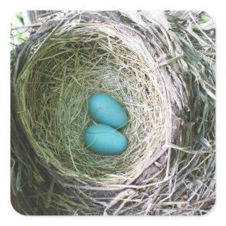 Two Blue Robin's Eggs in Nest Square Sticker