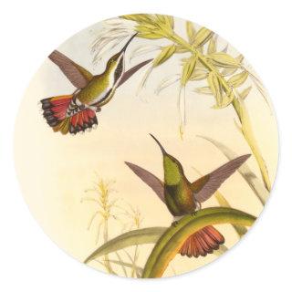 Two Colorful Hummingbirds Aiming for Same Flower Classic Round Sticker