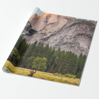 TWO DEER IN FRONT OF HALF DOME IN YOSEMITE VALLEY