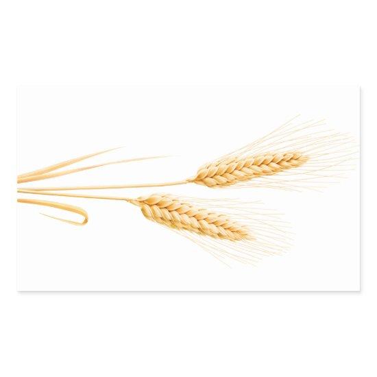Two ears of wheat rectangular sticker