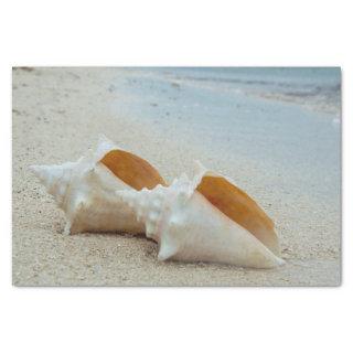 Two Seashells on the Ocean Beach  Tissue Paper