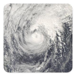 Typhoon Dolphin in the Philippine Sea Square Sticker