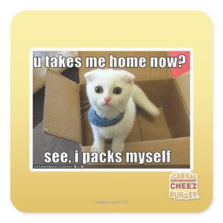U take me home now? square sticker