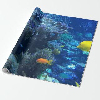 Under Water Ocean World And Summer Story