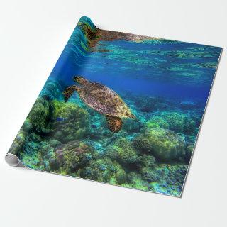 Undersea Tropical Sea Turtle Coral