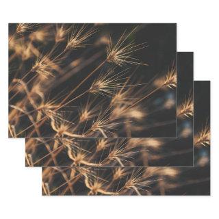 Unique Short Bursting Wild Grass  Sheets