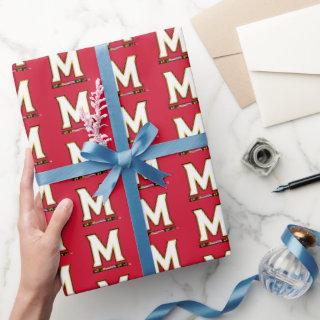 University of Maryland M