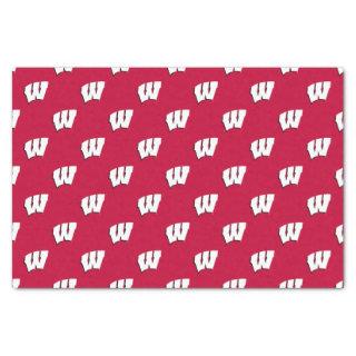 University of Wisconsin | Birthday Tissue Paper