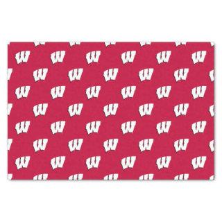 University of Wisconsin | Graduation Tissue Paper