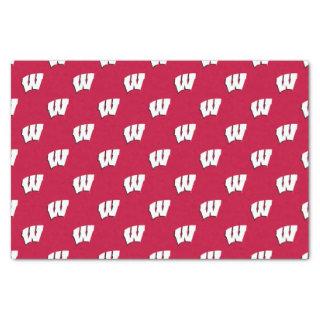 University of Wisconsin | Holiday Tissue Paper