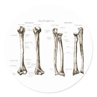 Upper Limb Sepia Classic Round Sticker