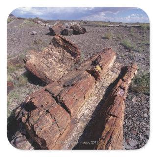 USA, Arizona, Petrified Forest National Park, 2 Square Sticker
