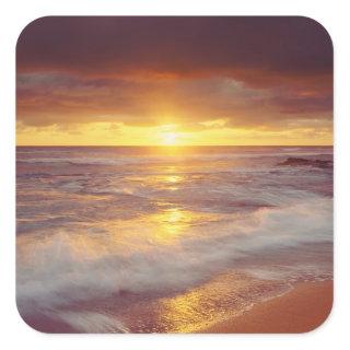 USA, California, San Diego. Sunset Cliffs beach Square Sticker