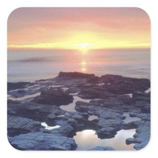 USA, California, San Diego. Sunset Cliffs tide Square Sticker