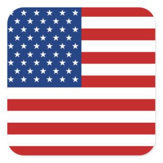 USA Flag Sticker