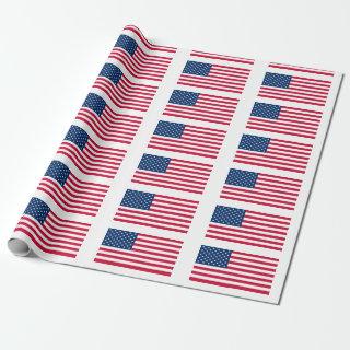 USA Flag