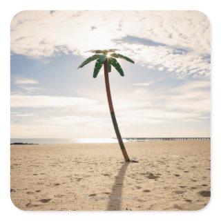 USA, New York City, Coney Island, palm tree on Square Sticker