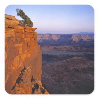 USA, Utah, Dead Horse Point SP. Late light turns Square Sticker