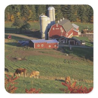 USA, Vermont, Pomfret. Red Barn and fall Square Sticker