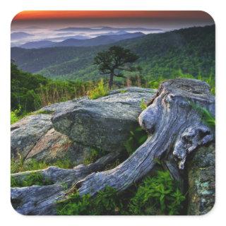 USA, Virginia, Shenandoah National Park. Square Sticker