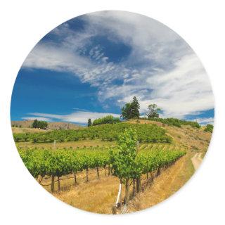 USA, Washington, Lake Chelan. Vineyard 3 Classic Round Sticker