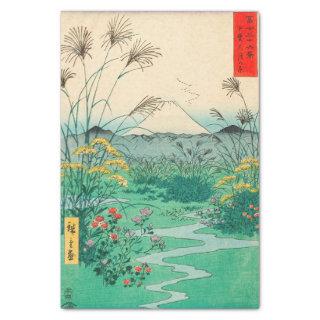 Utagawa Hiroshige - Otsuki Plain in Kai Province Tissue Paper